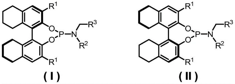 General structural formulas of the novel chiral phosphoramidite ligands