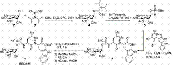 Complete synthetic route of Phosphoramidon showing the formation of hydrogen phosphite diester intermediate and oxidative coupling steps
