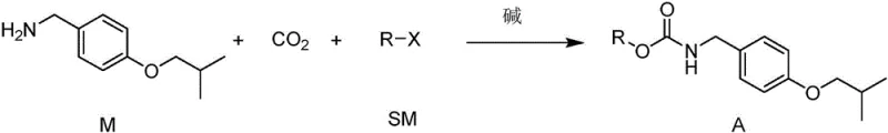 Novel CO2 fixation reaction to form Carbamate Intermediate A