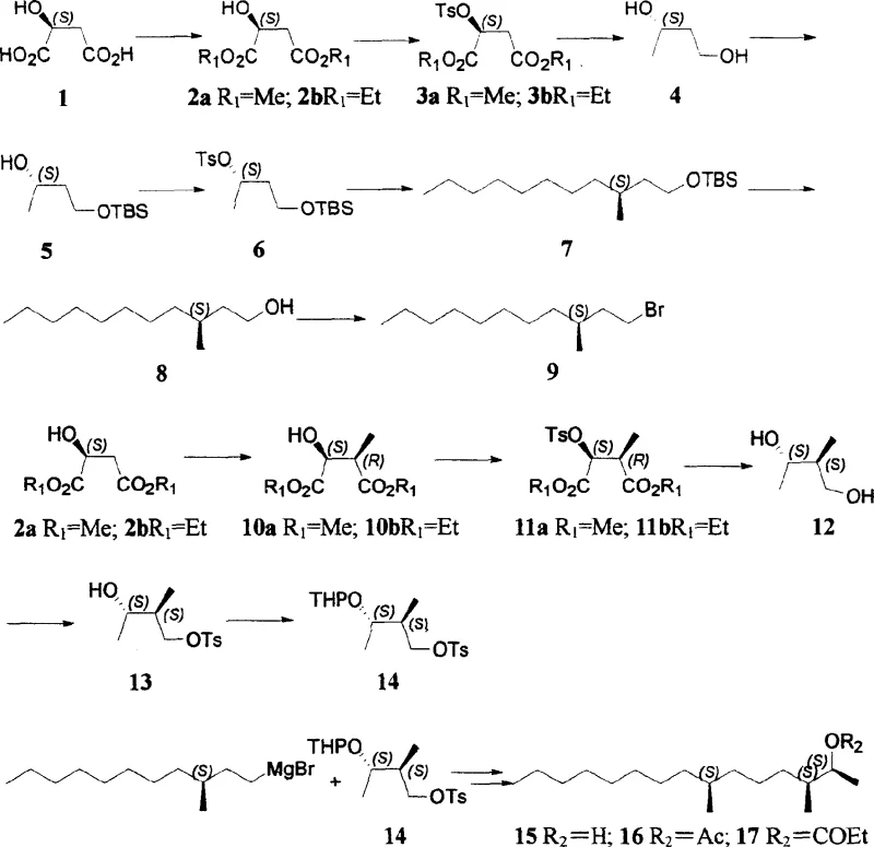Complete synthetic route from (S)-malic acid to pine sawfly sex pheromone esters showing key intermediates and stereochemistry