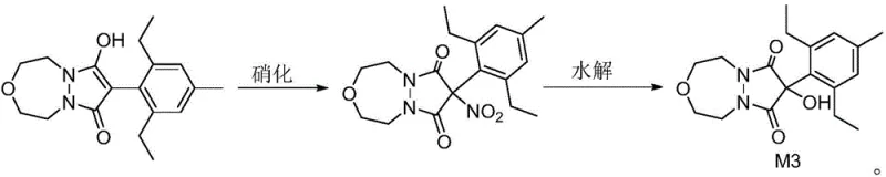 Nitration and final hydrolysis steps converting the intermediate to Pinoxaden Metabolite M3
