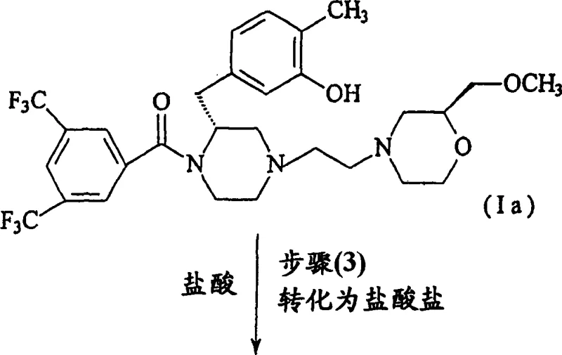 Reaction scheme showing Step 3 Salt Formation to yield Final Product I