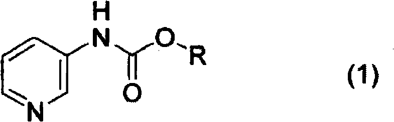 General reaction scheme showing the hydrogenation of pyridine-3-ylcarbamate to piperidin-3-ylcarbamate using Pd catalyst