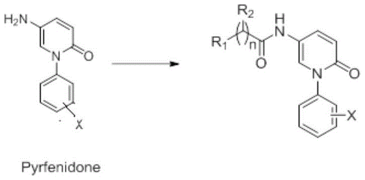 General structural formula of pirfenidone derivatives showing amide substitution at the 5-position