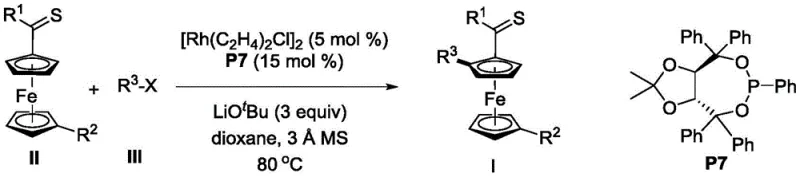 Optimized reaction conditions for Example 1 showing catalyst loading, ligand structure, and solvent system