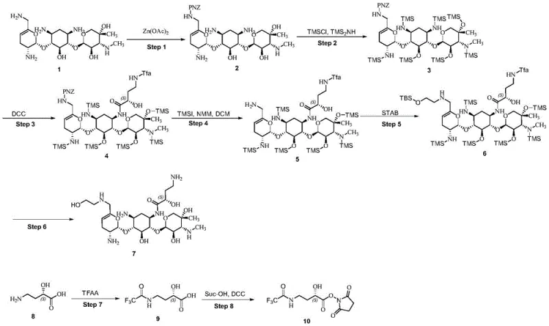 Complete synthetic route from Sisomicin to Plazomicin highlighting the silylation and acylation steps