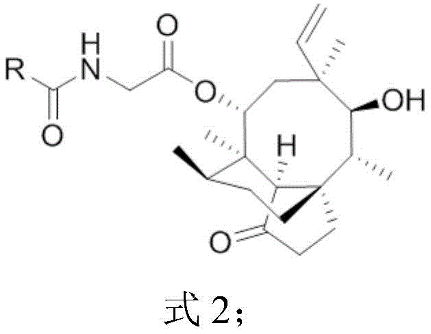 General structure of pleuromutilin derivatives with amide side chain showing variable R groups