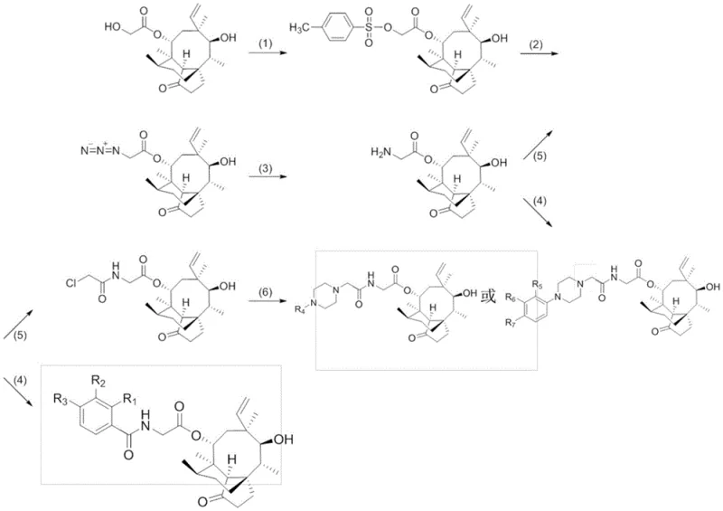 Complete synthetic route showing conversion of pleuromutilin to amide derivatives via intermediates I-IV