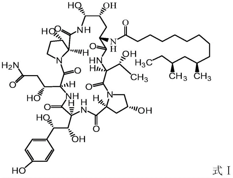 Chemical structure of Pneumocandin B0 Formula I showing the cyclic hexapeptide core