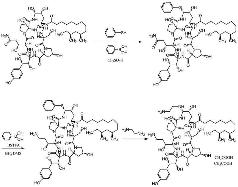 Reaction scheme showing conversion of Pneumocandin B0 to Caspofungin intermediates