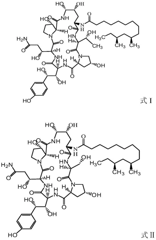 Comparison of Formula I Pneumocandin B0 and Formula II serine analog impurity structures