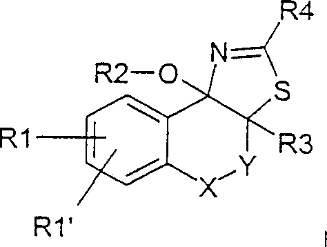 General chemical structure of Polycyclic 2-aminodihydrothiazole systems showing variable substituent positions R1-R4