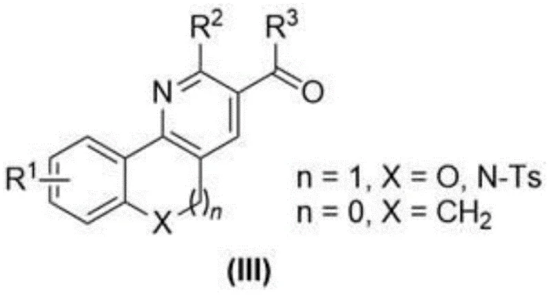 General structure of the target polycyclic pyridine compound (Formula III)