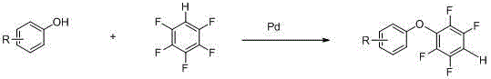 General reaction scheme for the synthesis of polyfluorinated aromatic ethers using palladium catalysis