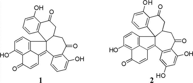 Chemical structures of Dalesconol A and B showing the complex polycyclic carbon skeleton