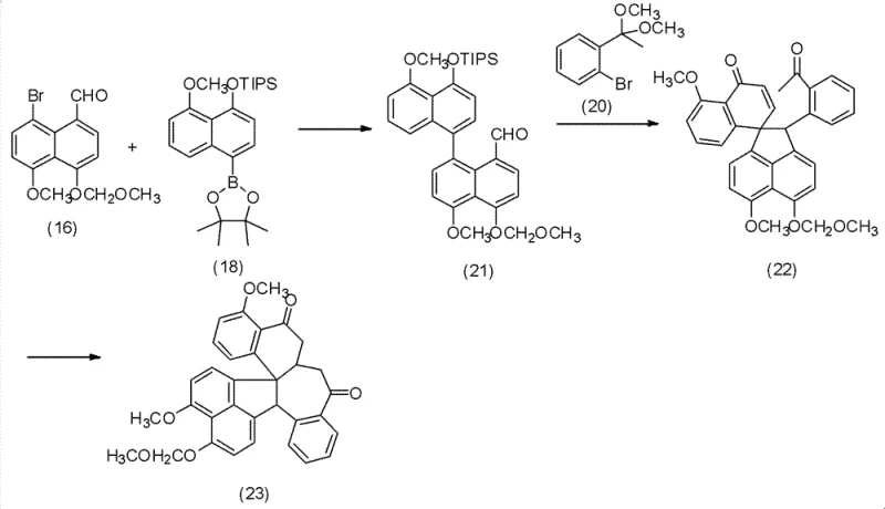 Detailed reaction pathway for the final assembly of the polyketide core via coupling and cyclization