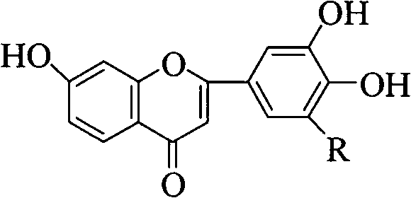 General chemical structure of polyhydroxy flavones showing variable R groups for hydrogen or hydroxyl substituents