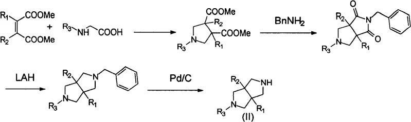 Synthetic route 1 showing cyclization of maleic ester and glycine followed by reduction