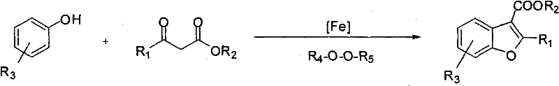 General reaction scheme showing direct coupling of phenol and beta-diketone using Iron catalyst and peroxide