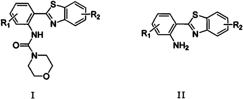 General chemical structure of polysubstituted benzothiazole derivatives Formula I and II