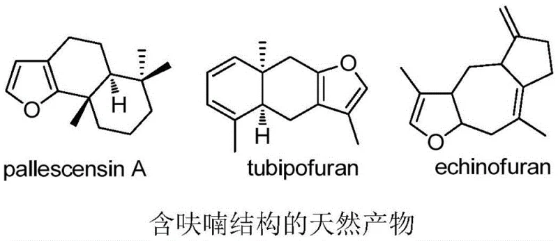Natural products containing furan structures highlighting the biological relevance of the target scaffold
