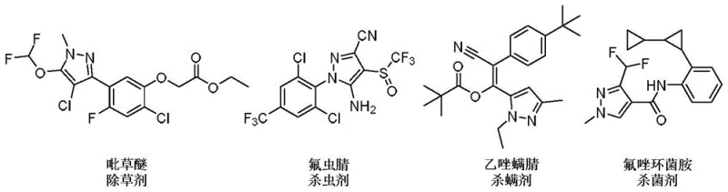 Examples of bioactive pyrazole compounds in pharmaceuticals and agrochemicals