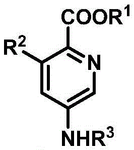 General molecular structure of polysubstituted pyridine derivatives showing variable R groups for diverse functionality