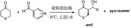 General reaction scheme showing porcine pancreatic lipase catalyzed asymmetric aldol reaction of heterocyclic ketones and aromatic aldehydes