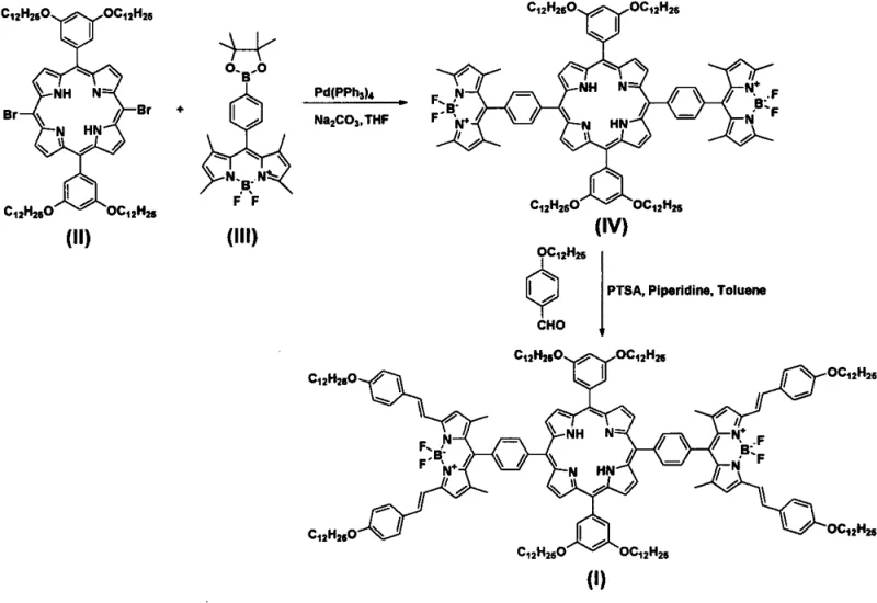 Synthetic route showing Suzuki coupling of porphyrin and BODIPY precursors followed by Knoevenagel condensation to form the final derivative