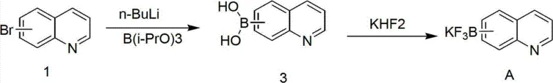 General synthesis scheme for potassium quinoline and isoquinoline trifluoroborates via lithiation and fluorination