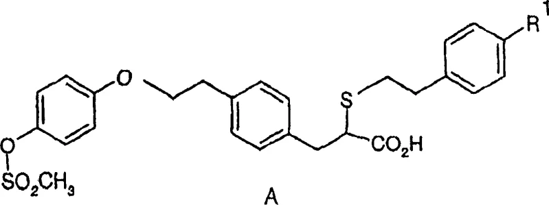 General Formula A representing selective PPAR alpha modulators and their optical isomers