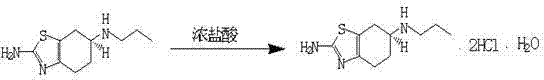 Salt formation reaction converting pramipexole base to dihydrochloride monohydrate
