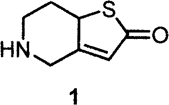 Chemical structure of 2,4,5,6,7,7alpha-hexahydro thieno[3,2-c]pyridine-2-ketone