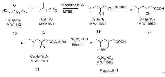 Enzymatic hydrolysis route for Pregabalin synthesis showing nitrilase catalysis