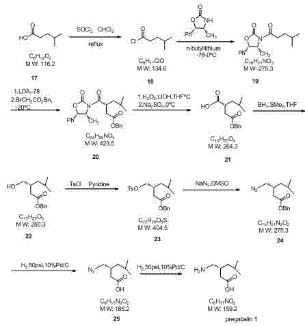 Chiral auxiliary route for Pregabalin synthesis involving acyl chloride and nucleophilic substitution
