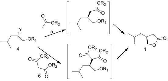 Final cyclization step showing substitution and lactonization to form the target furanone