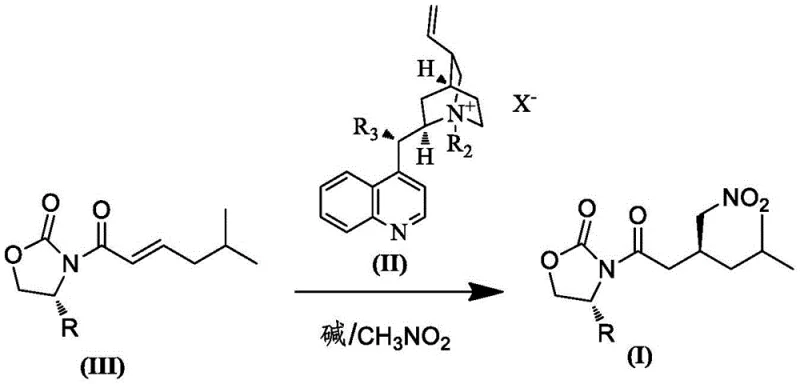 Asymmetric Michael addition of nitromethane catalyzed by chiral cinchona alkaloid derivative