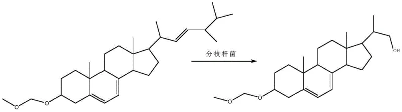 Biotransformation reaction scheme showing the conversion of ergosterol etherate by resting cells