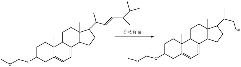 Biotransformation reaction scheme showing the conversion of ergosterol etherate to the protected intermediate via Mycobacterium fermentation