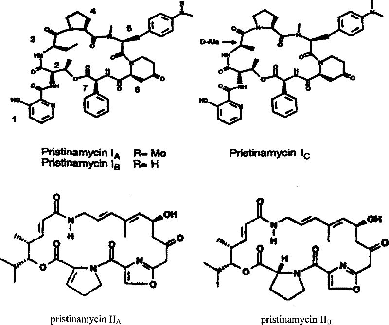 Chemical structures of Pristinamycin components including Pristinamycin IA, IB, IC and Pristinamycin IIA, IIB