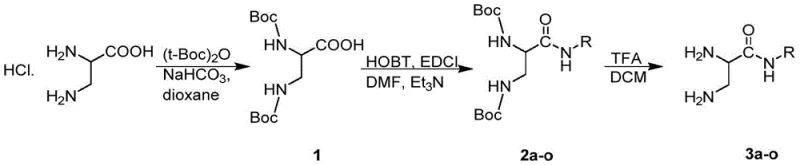 Synthetic route for the amino acid fragment 3a-o involving Boc protection and amide coupling