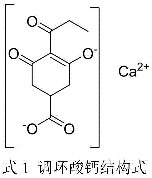 Chemical structure of Prohexadione Calcium showing the cyclohexenedione core and calcium coordination