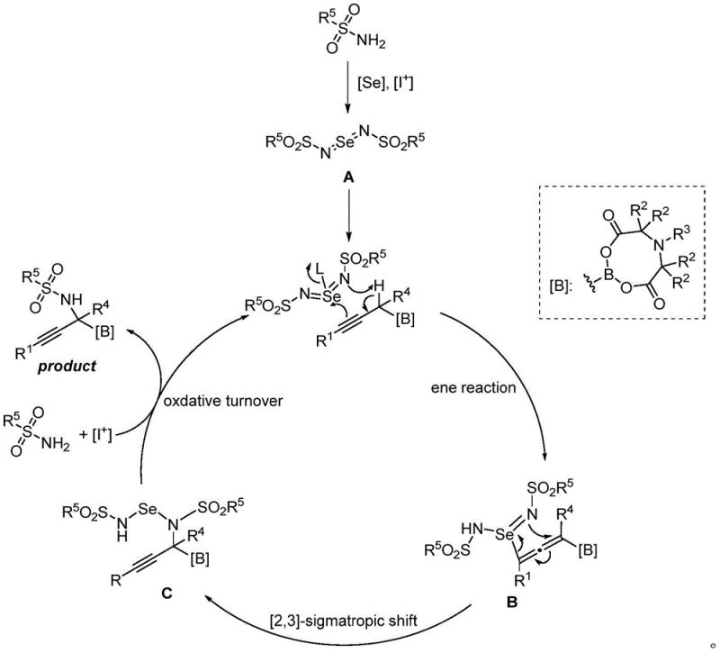 Catalytic cycle mechanism showing selenoimide formation and sigmatropic shift