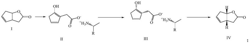 Reaction scheme showing the resolution of racemic 2-oxabicyclo-[3.3.0]oct-6-en-3-one via chiral amine salt formation and recrystallization