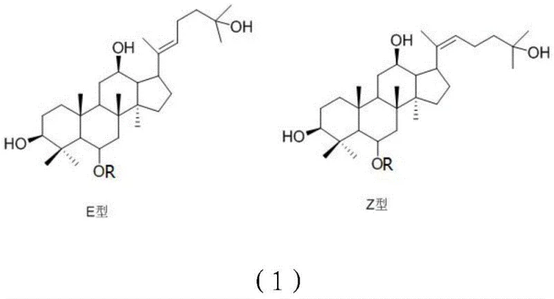 General chemical structure of E-type and Z-type pseudo-ginsenoside derivatives showing the core dammarane skeleton and side chain variations