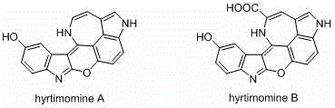 Chemical structures of natural products Hyrtimomine A and B containing the pyrano[2,3-b]indol-2-one scaffold