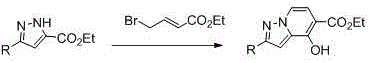 General synthetic route for 4-hydroxy-2-substituted pyrazolo[1,5-a]pyridine derivatives via tandem reaction