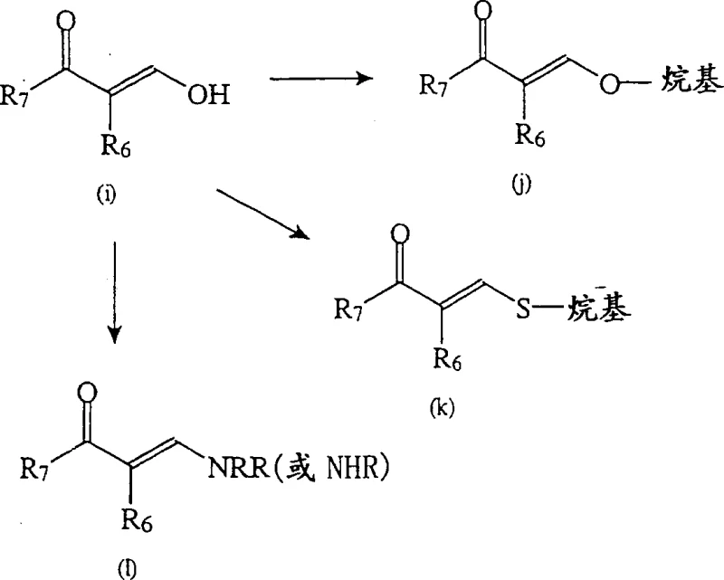 General structure of substituted pyrazolopyrimidines showing variable R groups for diverse pharmacological activity