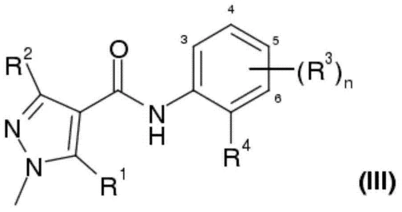 General chemical structure of pyrazolylcarboxanilides (Formula III) showing variable substituents R1 to R4