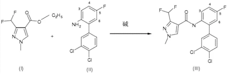 Specific reaction scheme for the synthesis of Bixafen showing ester and aniline reactants forming the amide product